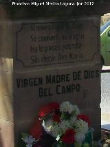 Monumento a la Virgen Madre de Dios del Campo. Inscripcin