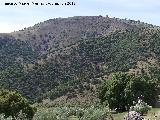 Cerro Hoya Amarguilla. 