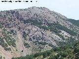 Cerro El Morrn. 