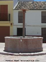 Fuente de la Plaza Santa Ana. 