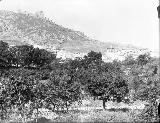 Jaén. Foto antigua. Desde la Huerta del Poyo