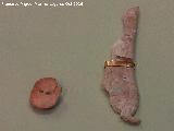 Marroquíes Bajos. Botón e ídolo antropomorfo de hueso con cinta de oro a la cintura del calcolítico. Museo Provincial