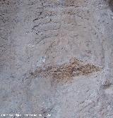 Petroglifos rupestres de El Toril. Petroglifo en forma de raspa
