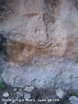 Petroglifos rupestres de El Toril. Conjunto de crculos debajo del antropomorfo con forma de raspa