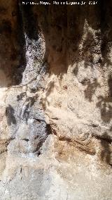 Petroglifos rupestres de El Toril. 