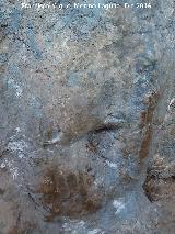 Petroglifos rupestres de El Toril. Venus