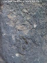 Petroglifos rupestres de El Toril. Espirales en C invertida