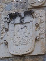 Castillo Viejo de Santa Catalina. Escudo de Pedro Esteban del Río