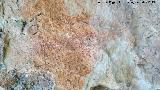 Pinturas rupestres del Paso del Canjorro I. 