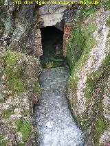 Cueva de los Baos. Saliendo agua de ella y produciendo el nacimiento del Arroyo de los Baos