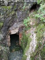 Cueva de los Baos. Entrada a la cueva
