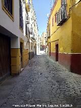 Calle Almendros Aguilar. 