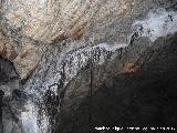 Cueva del Morrn. Raices
