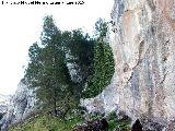 Cueva del Morrn. Paraje donde se encuentra la cueva