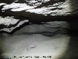 Pinturas rupestres de la Cueva del Canjorro II. Cueva