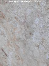 Pinturas rupestres del Abrigo de la Granja. Antropomorfo Y del panel III