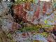 Pinturas rupestres del Barranco de la Cueva Grupo III