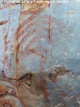 Pinturas rupestres de la Cueva de los Arcos II. Ramiforme