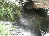 Cueva del Molinete. Entrada