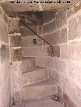 Escalera de caracol. Catedral Vieja de Salamanca