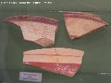 Necrpolis de Santa Isabel. Fragmentos de urna cineraria. Museo San Antonio de Padua - Martos