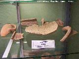 Necrpolis de Santa Isabel. Cermica ibera. Museo San Antonio de Padua - Martos