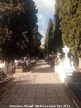 Cementerio de San Gins. 