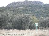 Cerro del Corzo. 
