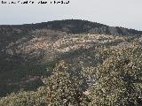 Cerro de Ensancha. 