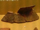 Cstulo. Poblado de la Muela. Restos de una tinaja de cermica incisa. Museo Arqueolgico de Linares