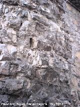 Muralla de Jan. Torren cilndrico del Portillo de San Sebastin. Detalle de sus piedras