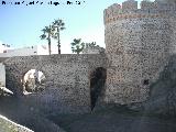 Castillo de San Miguel. Foso
