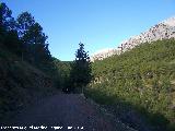 Camino del Pico Jabalcuz. 