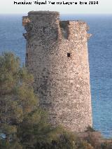 Torre del Pino. 