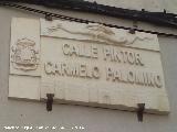 Calle Pintor Carmelo Palomino. Placa