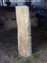 Museo Provincial. Columna de tronco de palmera en la lonja