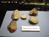 Museo Provincial. Paleolítico inferior